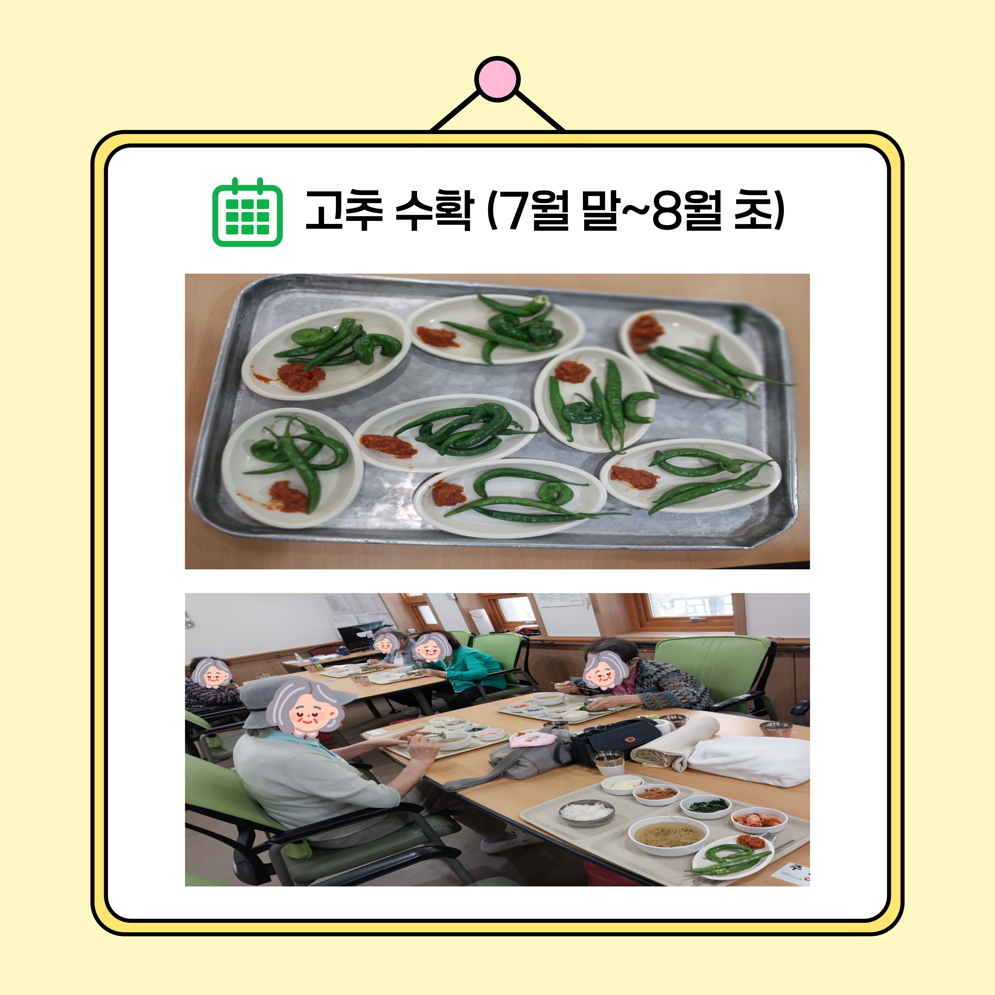 농작물 재배 5.jpg 이미지입니다.